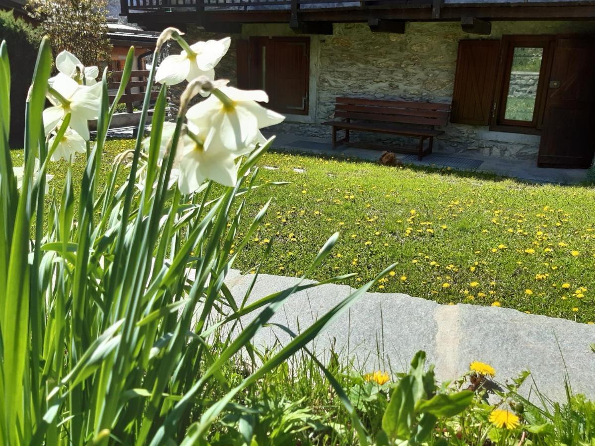 Sauze d'Oulx with garden, ciâbőt la garitüla Daire Dış mekan fotoğraf