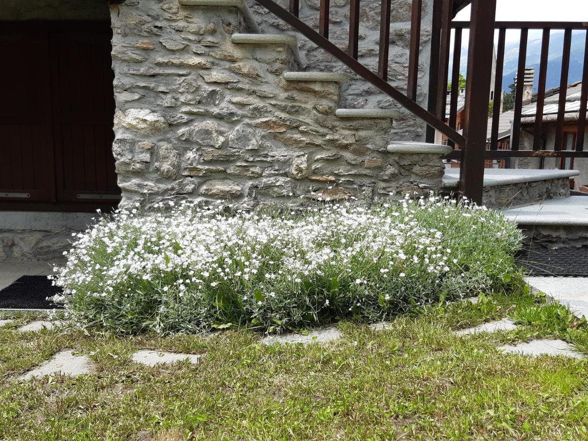 Sauze d'Oulx with garden, ciâbőt la garitüla Daire Dış mekan fotoğraf